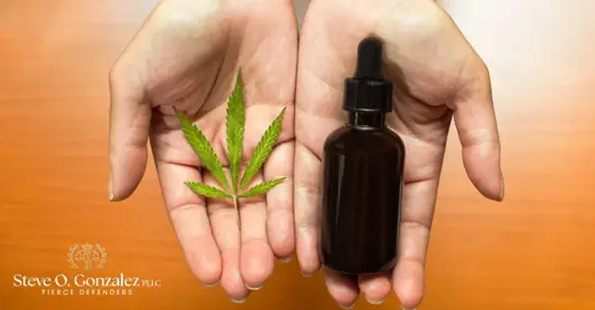 hands showing marijuana plant and THC oil